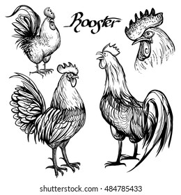 Hand drawn sketches of roosters. Vector rooster, symbol 2017 year. Illustration.