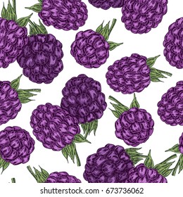 Hand drawn sketchy berries. Ripe blackberry branch isolated on white. Seamless pattern vintage. Vector illustration