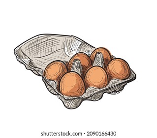 Hand drawn sketchy box with six eggs. Fresh organic chicken eggs in carton pack sketch, doodle egg container