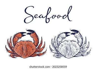 Hand drawn sketchy crab, color and monochrome, vector