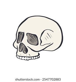 Hand drawn sketchy human skull isolated on white background. Doodle skeleton head tattoo design