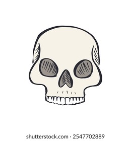 Hand drawn sketchy human skull isolated on white background. Doodle skeleton head tattoo design