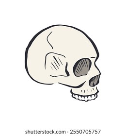 Hand drawn sketchy human skull isolated on white background. Doodle skeleton head tattoo design