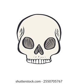 Hand drawn sketchy human skull isolated on white background. Doodle skeleton head tattoo design