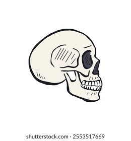 Hand drawn sketchy human skull side view isolated on white background. Doodle skeleton head tattoo design