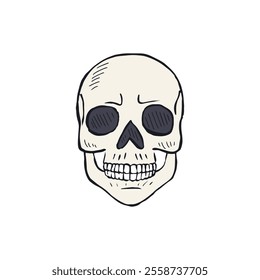 Hand drawn sketchy human skull isolated on white background. Doodle skeleton head tattoo design