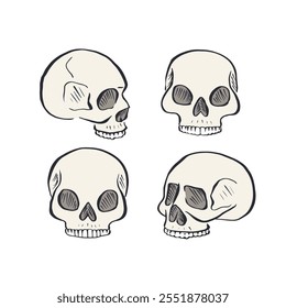 Hand drawn sketchy human skulls set isolated on white background. Doodle skeleton head tattoo design