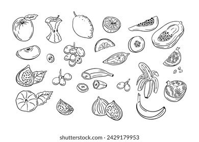 Hand drawn sketchy outline set of juicy fruits. Doodle black contour whole fruits and slices on white background. Ideal for coloring pages, tattoo, pattern