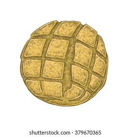 Hand drawn sketchy style colorful white bread loaf. Vector illustration for your design