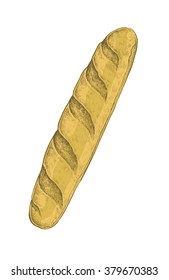 Hand drawn sketchy style colorful baguette. Vector illustration for your design
