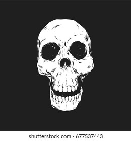 Hand Drawn Skull