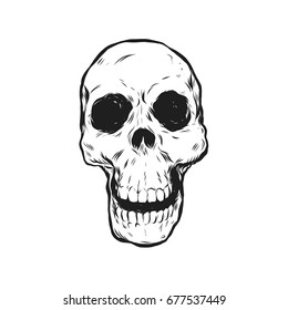 Hand Drawn Skull