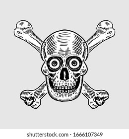 Hand drawn skull and crossbones. Vector Illustration