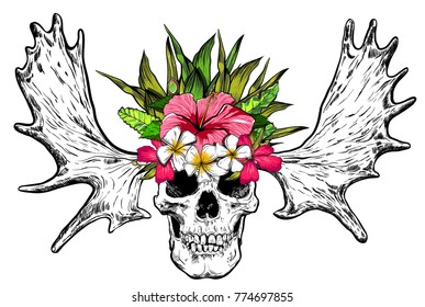 Hand drawn skull with deer horns and flowers. Vector