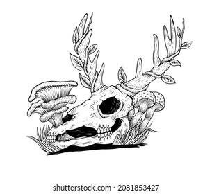 hand drawn skull deer with mushroom line art engravingstyle