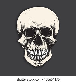 Hand drawn skull in exquisite style over black background.