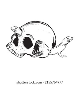 hand drawn skull with lizard doodle illustration for tattoo stickers poster etc