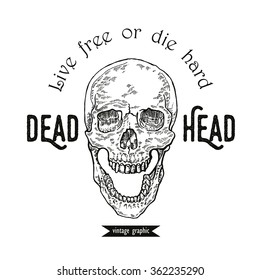 Hand drawn skull in monochrome line art graphic. Vector illustration of human skull vintage.