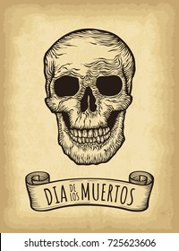 Hand drawn skull on old craft paper texture background. Template for your design works. Vector illustration. Day of the dead lettering (Spanish language).