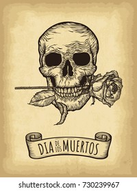 Hand drawn skull on old craft paper texture background. Template for your design works. Engraved style vector illustration. Day of the dead lettering (Spanish language).