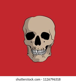 Hand drawn skull on a red background, vector illustration