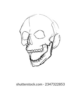 Hand Drawn Skull with Open Mouth.Isolated Art , Sketch,Tattoo Sketch,Print, and for Other Uses