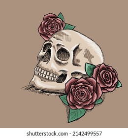 Hand drawn skull with red roses tattoo sketch. Ink black outline with white bleaks. Romantic, gothic mood.