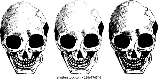 Hand drawn skull set isolated on white background vector illustration