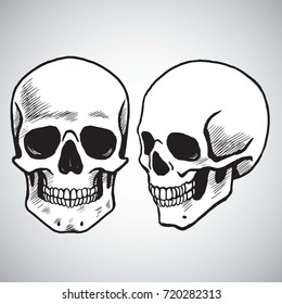 Hand Drawn Skull Set