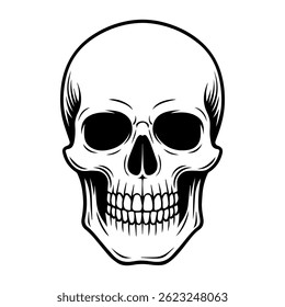 Hand drawn skull. Sketch isolated vector