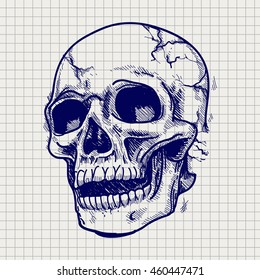 Hand Drawn Skull Sketch Vector On Notebook Page