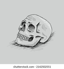 Hand drawn skull tattoo sketch. Ink black solid outline with white bleaks on the grey paper. Anatomy.