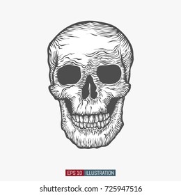 Hand drawn skull. Template for your design works. Engraving style vector illustration.