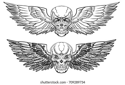 Hand drawn Skull with wing vector set.Sticker skull tattoo.Doodle and sketch style Skull with wing tattoo.