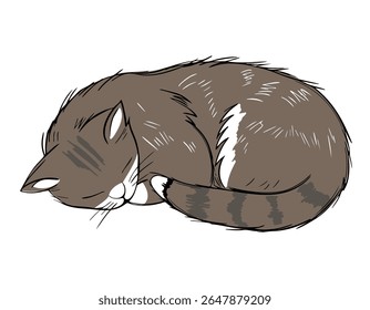 Hand drawn sleeping cat in pastel colors. Sketch style with black outline. Cozy cute kitten illustration
