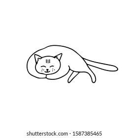 A hand drawn sleeping cat. Vector illustration isolated on white background. Doodle sketch style, outline.