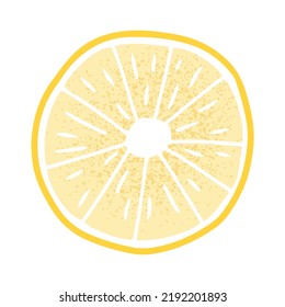 Hand drawn slice of lemon fruit with grainy texture. Isolated on white vector illustration in flay style