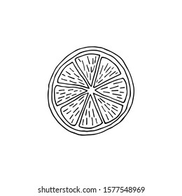 Hand drawn slice of orange or lemon. Isolated vector illustration.