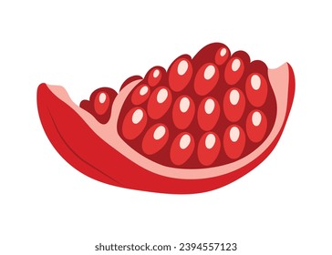 Hand drawn slice of pomegranate fruit with juicy seeds, front view. Isolated vector illustration