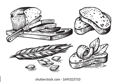 hand drawn sliced bread and wheat with grains