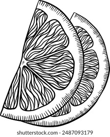 Hand drawn Sliced Lemon Sketch Illustration