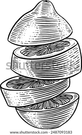 Hand drawn Sliced Lemon Sketch Illustration