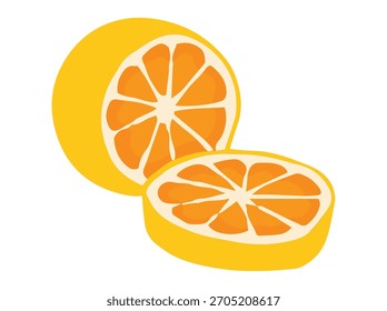 Hand Drawn Sliced Orange Fruit