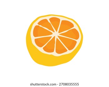 Hand Drawn Sliced Orange Fruit