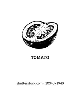 Hand drawn sliced tomato. Vector illustration in engraved style. Vegetarian food sketch. Farm market product.