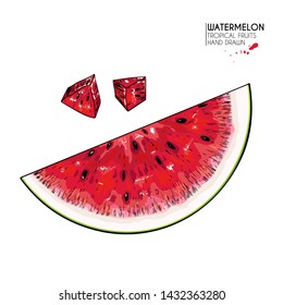 Hand drawn sliced watermelon. Vector colored engraved illustration. Juicy summer fruit. Food healthy ingredient. For cooking, cosmetic package design, medicinal herb, treating, health care.
