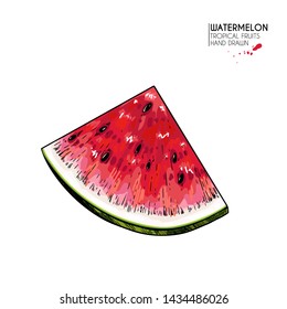Hand drawn sliced watermelon. Vector colored engraved illustration. Juicy summer fruit. Food healthy ingredient. For cooking, cosmetic package design, medicinal herb, treating, health care
