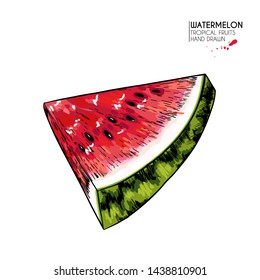 Hand drawn sliced watermelon. Vector colored engraved illustration. Juicy summer fruit. Food healthy ingredient. For cooking, cosmetic package design, medicinal herb, treating, health care