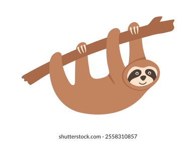 Hand drawn sloth hanging on wooden branch. Funny tropical bear character