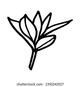 Hand drawn small leave. Vector illustration